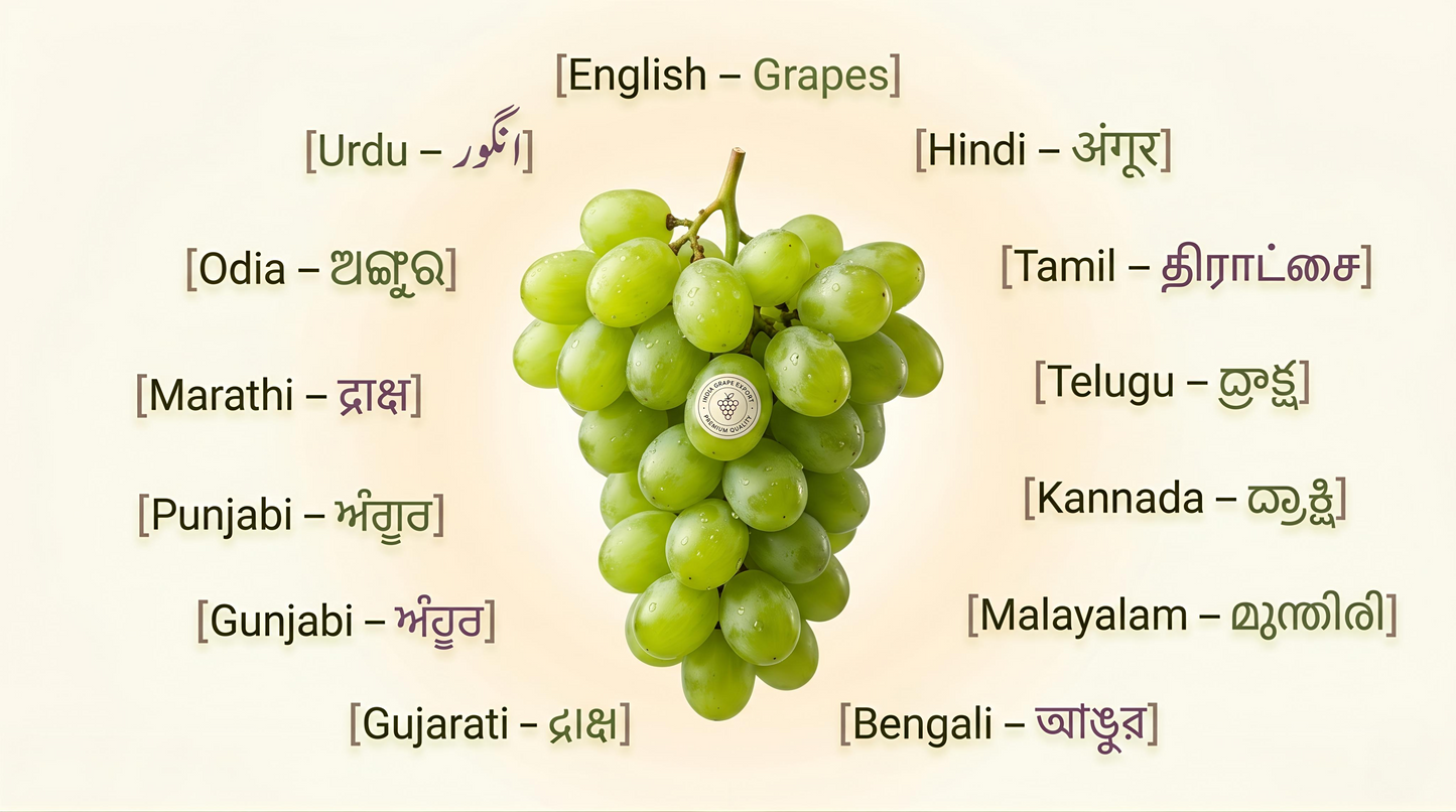 Indian Green Grapes (Round)