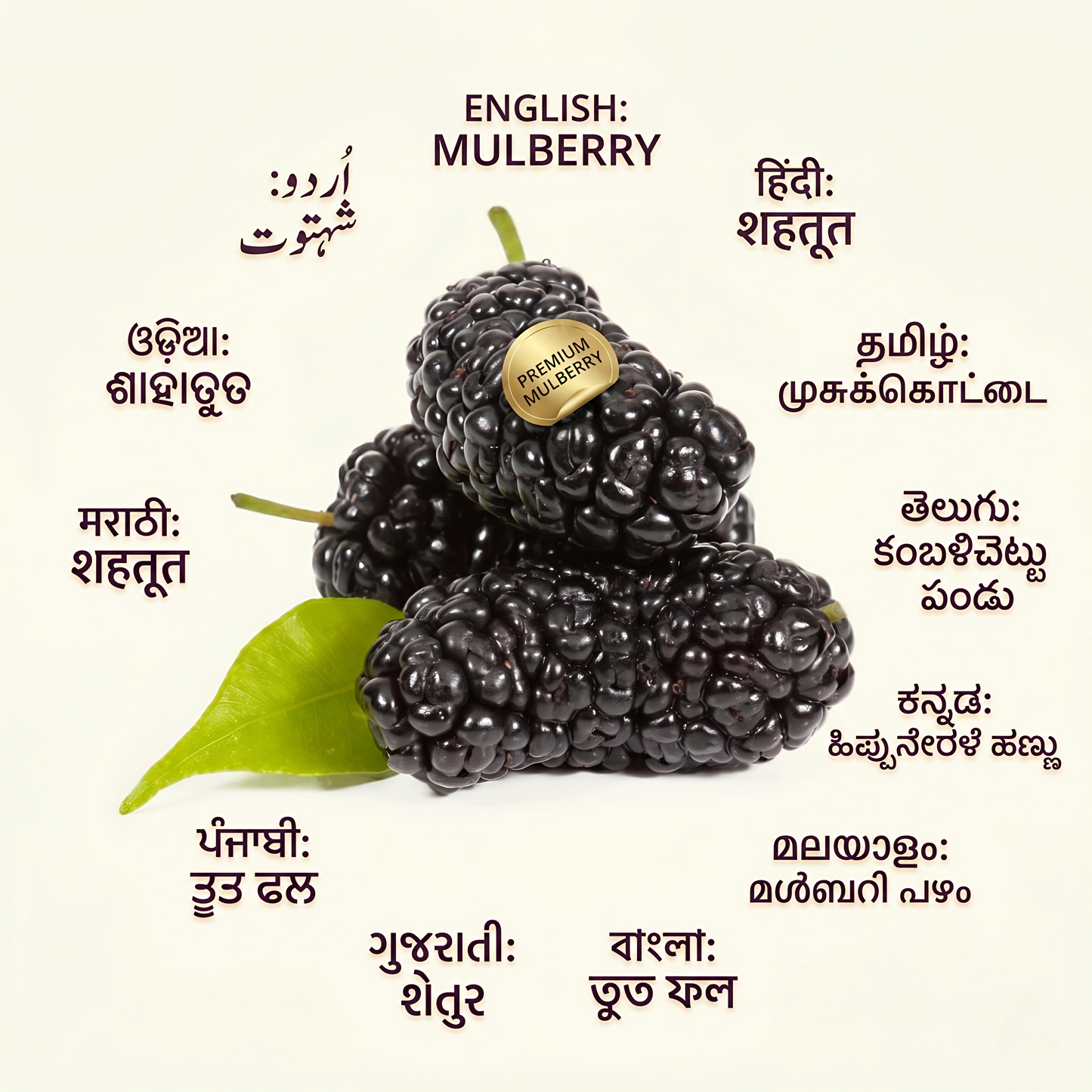 Mulberry