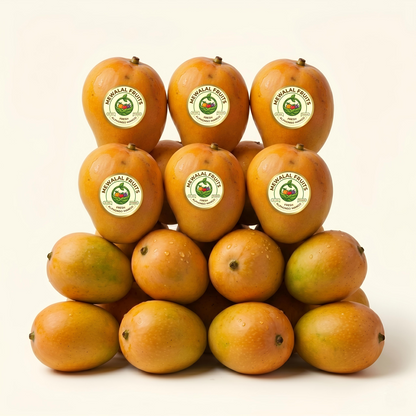 Export Quality Alphonso (Hapus) Mangoes