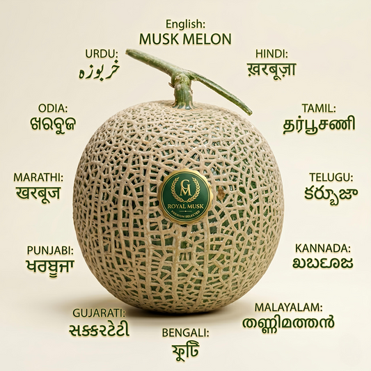 Japanese melon