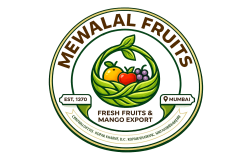 logo light
